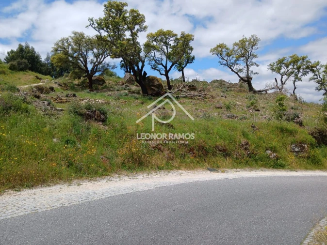 Terreno para Venda em Monsanto e Idanha-A-Velha Foto 4