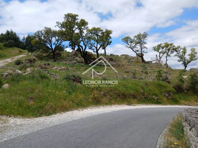 Terreno para Venda em Monsanto e Idanha-A-Velha Foto 2