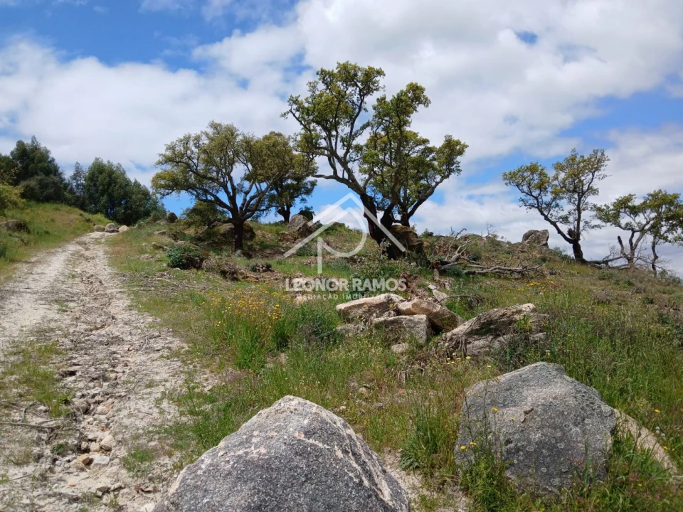 Terreno para Venda em Monsanto e Idanha-A-Velha Foto 6