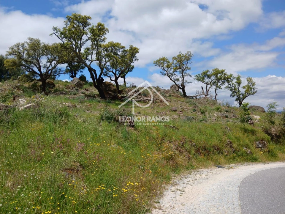 Terreno para Venda em Monsanto e Idanha-A-Velha Foto 8