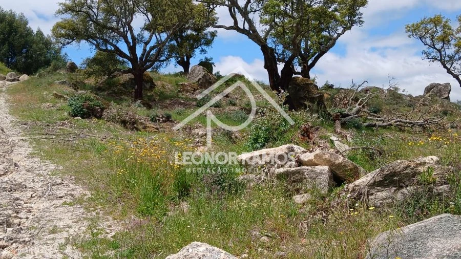 Terreno para Venda em Monsanto e Idanha-A-Velha