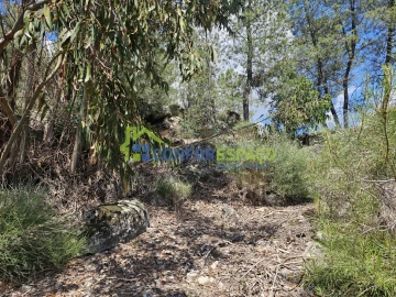 Terreno para Venda em Alcains