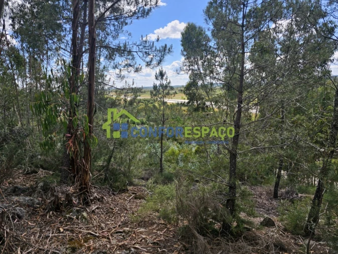 Terreno para Venda em Alcains Foto 10