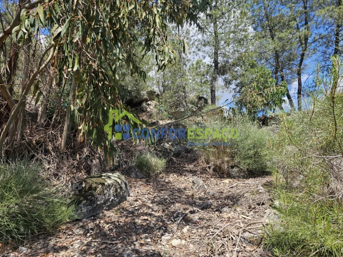 Terreno para Venda em Alcains Foto 4