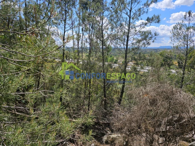 Terreno para Venda em Alcains Foto 8