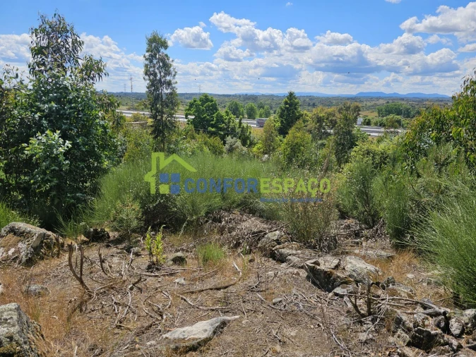 Terreno para Venda em Alcains Foto 2