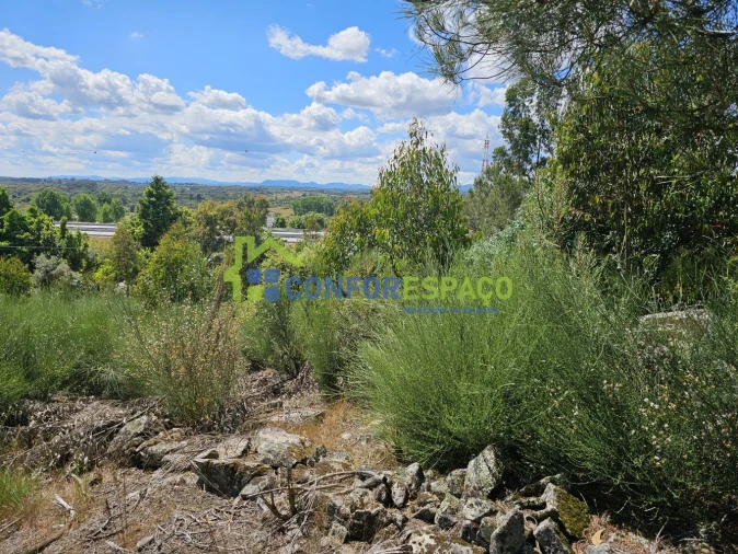 Terreno para Venda em Alcains Foto 3