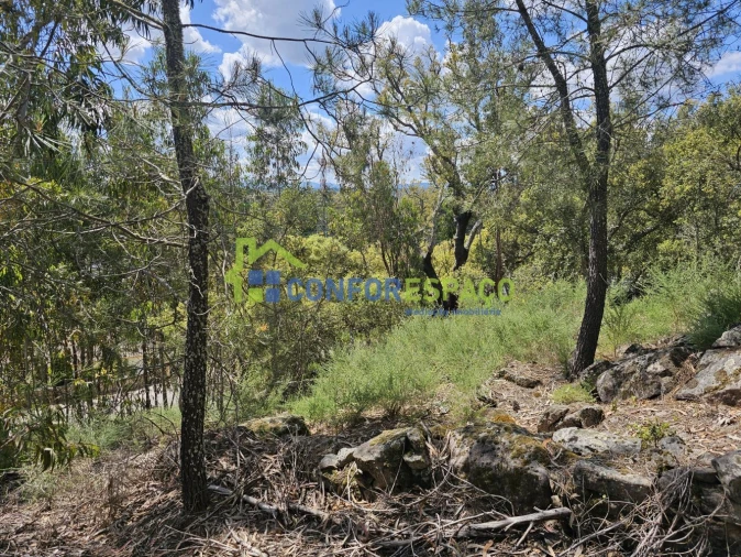 Terreno para Venda em Alcains Foto 11