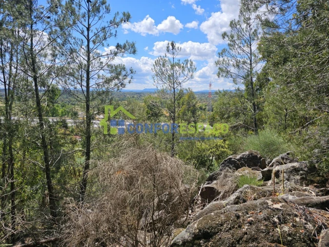 Terreno para Venda em Alcains Foto 7