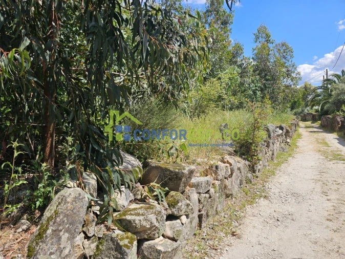 Terreno para Venda em Alcains Foto 15