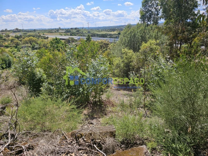 Terreno para Venda em Alcains Foto 12