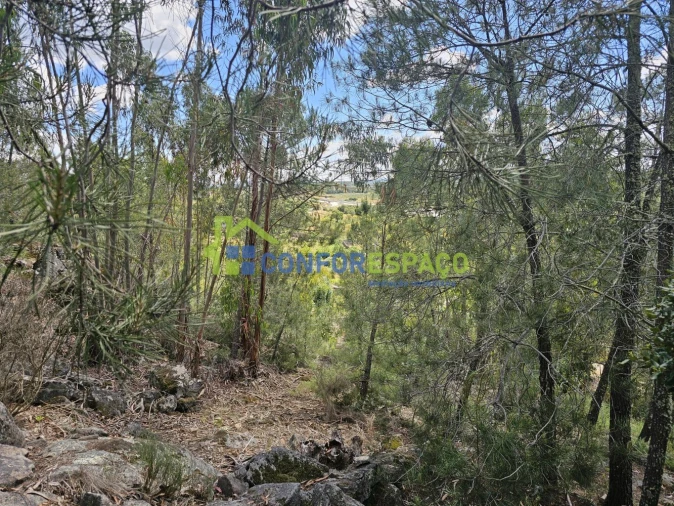 Terreno para Venda em Alcains Foto 9