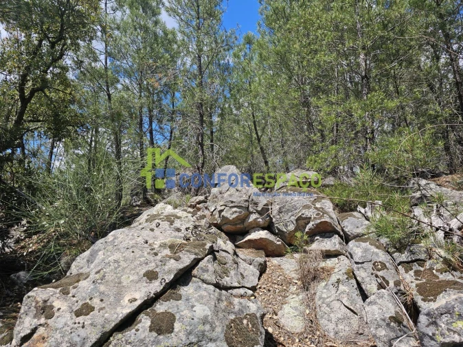 Terreno para Venda em Alcains Foto 6