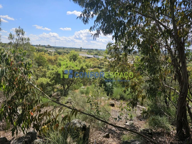 Terreno para Venda em Alcains Foto 5