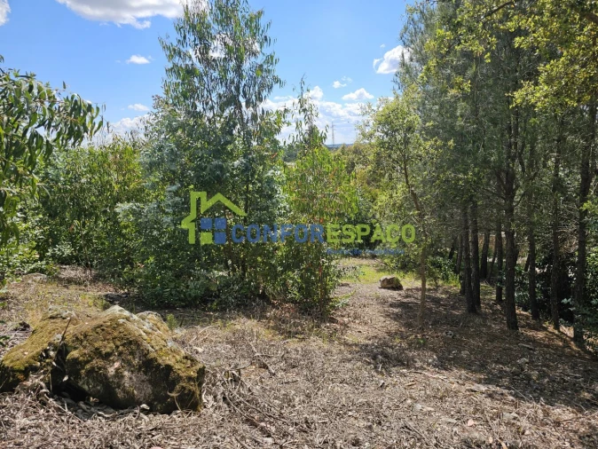 Terreno para Venda em Alcains Foto 14