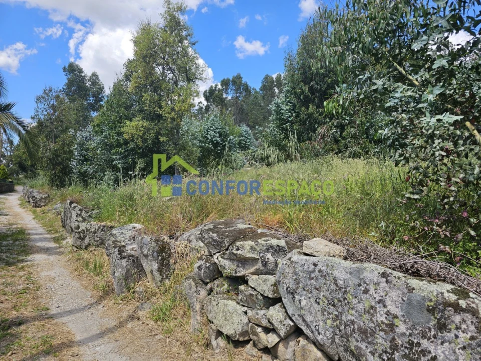 Terreno para Venda em Alcains Foto 1