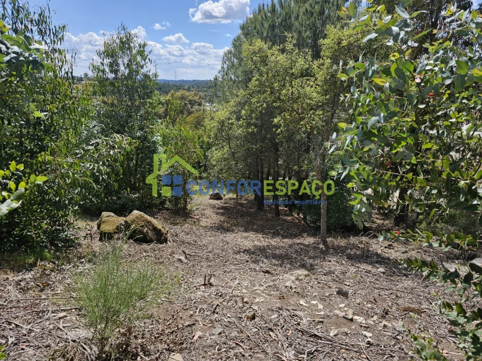 Terreno para Venda em Alcains Foto 13