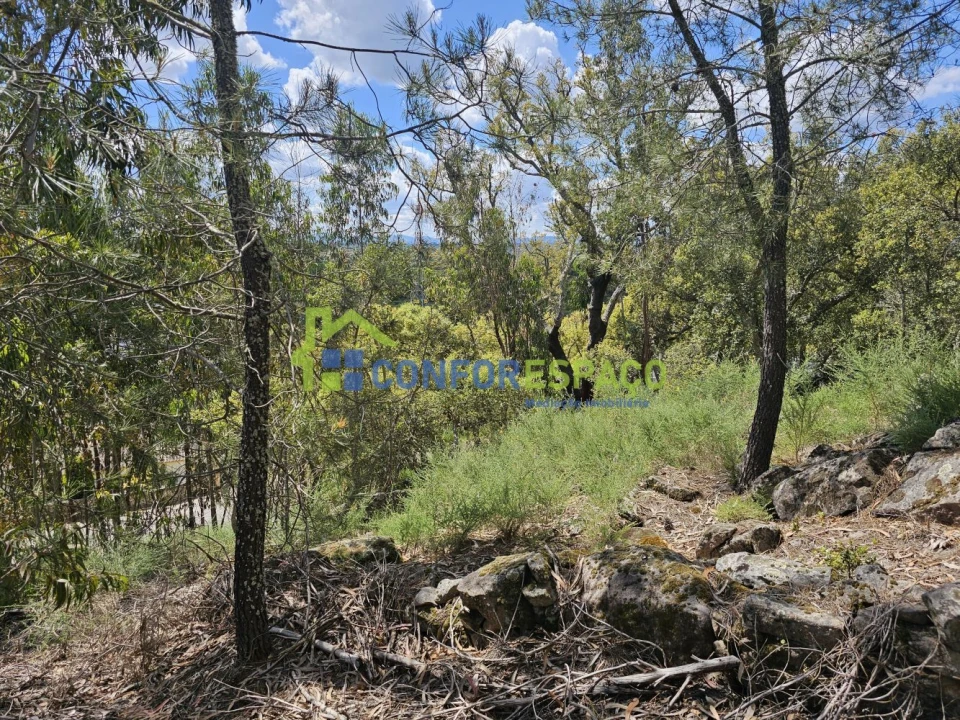 Terreno para Venda em Alcains Foto 11