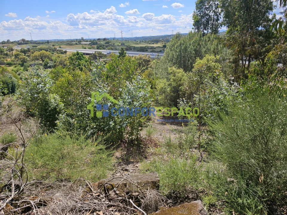 Terreno para Venda em Alcains Foto 12