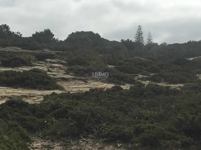 Terreno para Venda em Agualva e Mira-Sintra Foto 7