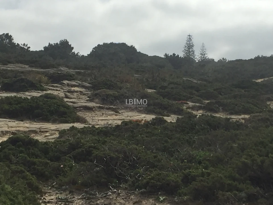 Terreno para Venda em Agualva e Mira-Sintra Foto 7