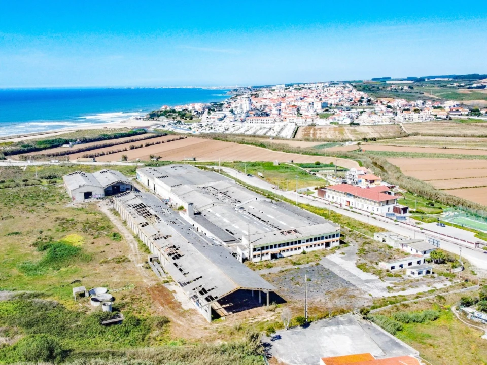 Terreno para Venda em Lourinhã e Atalaia Foto 4