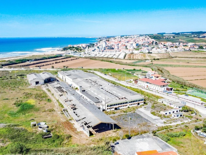 Terreno para Venda em Lourinhã e Atalaia Foto 4