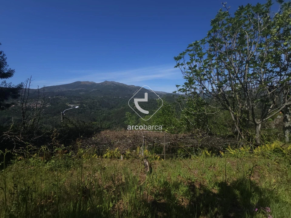 Moradia T2 para Venda em Britelo Foto 34