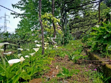 Moradia T2 para Venda em Britelo