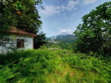 Moradia T2 para Venda em Britelo