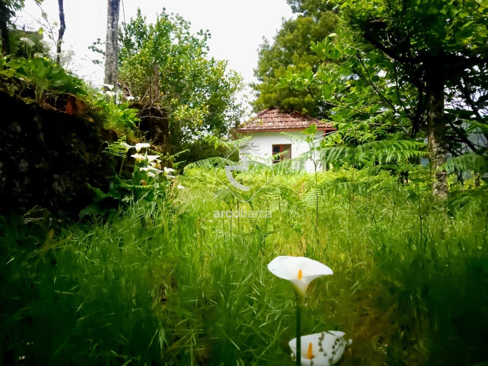 Moradia T2 para Venda em Britelo Foto 21