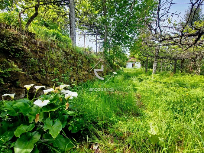 Moradia T2 para Venda em Britelo Foto 16