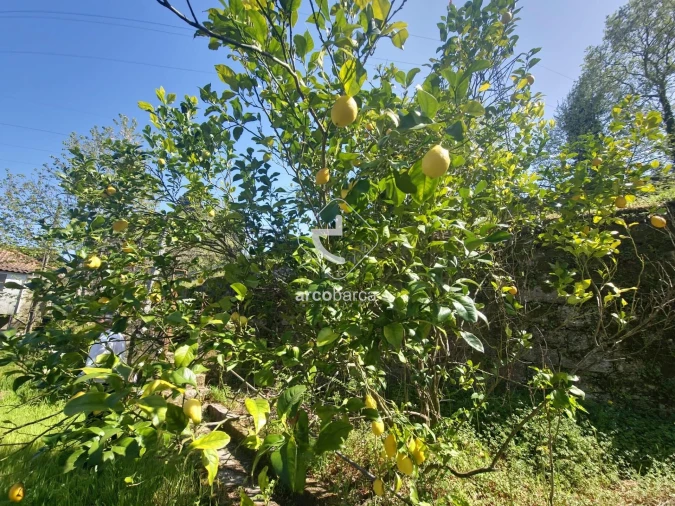 Moradia T2 para Venda em Britelo Foto 12