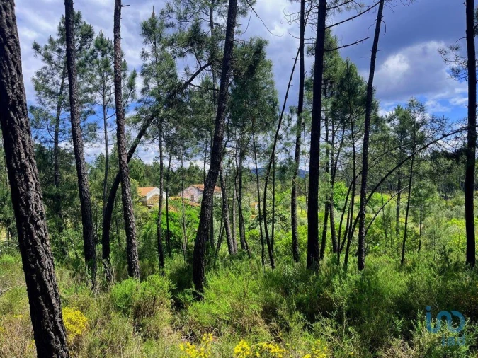 Moradia T3 para Venda em Cumeada e Marmeleiro Foto 13