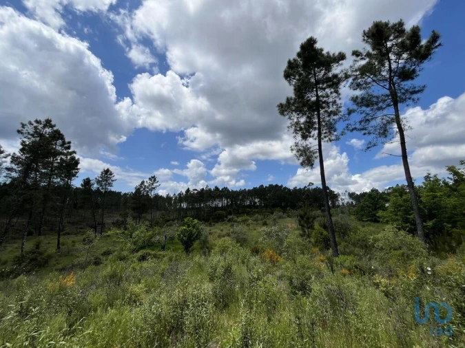 Moradia T3 para Venda em Cumeada e Marmeleiro Foto 11