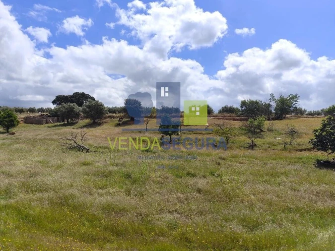 Terreno para Venda em Sobral da Adiça Foto 3