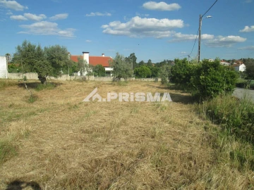 Terreno para Venda em Benquerenças