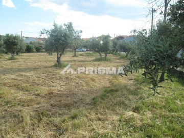 Terreno para Venda em Benquerenças