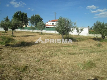 Terreno para Venda em Benquerenças