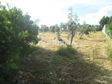 Terreno para Venda em Benquerenças