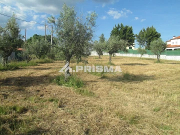Terreno para Venda em Benquerenças