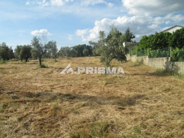 Terreno para Venda em Benquerenças