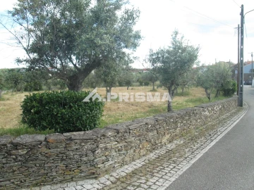 Terreno para Venda em Benquerenças