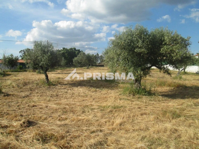 Terreno para Venda em Benquerenças Foto 18