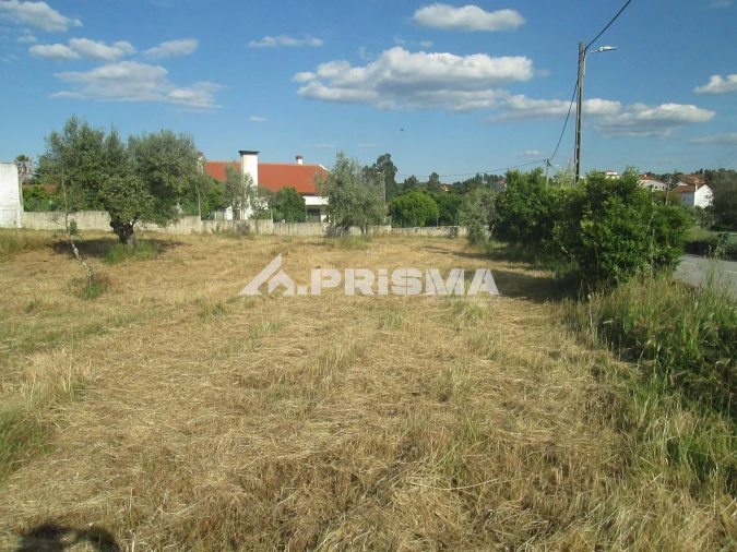 Terreno para Venda em Benquerenças Foto 17