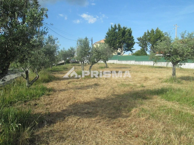 Terreno para Venda em Benquerenças Foto 13