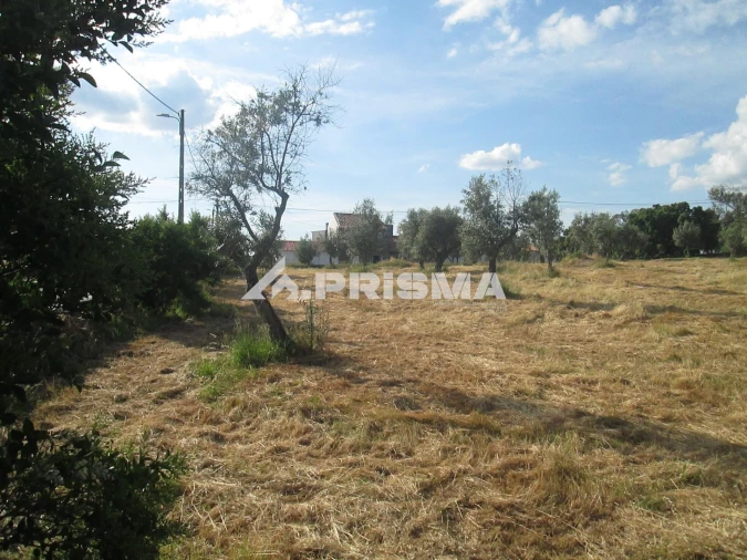 Terreno para Venda em Benquerenças Foto 20