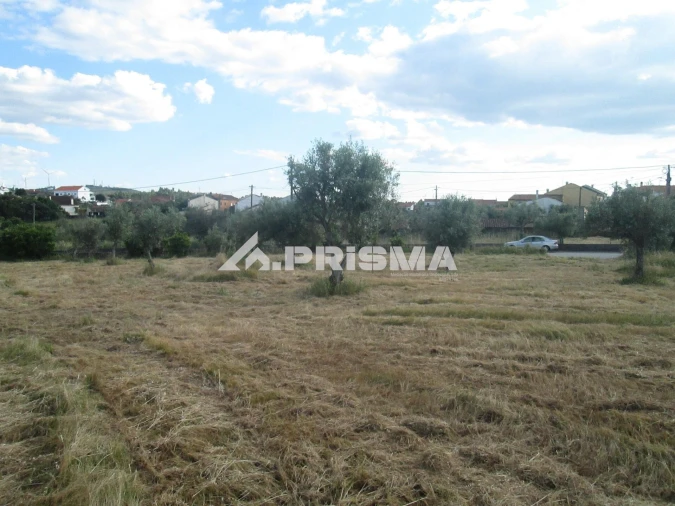 Terreno para Venda em Benquerenças Foto 7