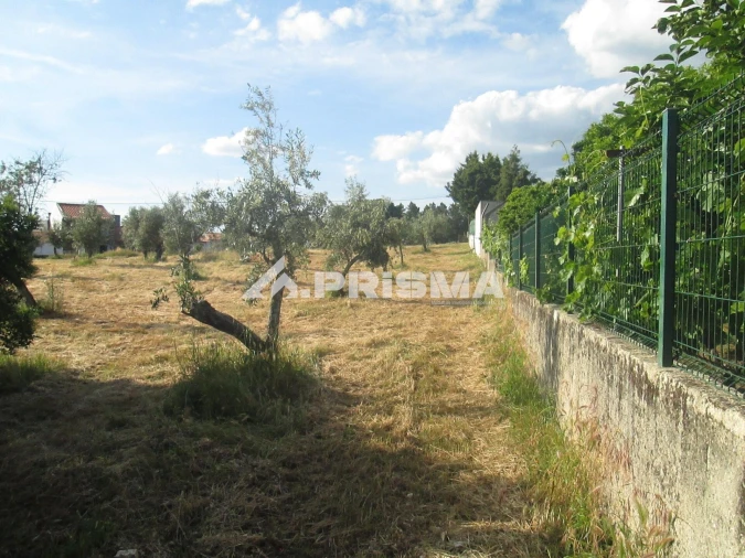Terreno para Venda em Benquerenças Foto 22