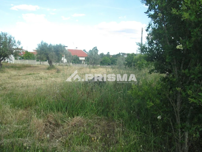 Terreno para Venda em Benquerenças Foto 5